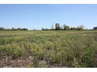 Property photo 29 - 419 +/- Acres offered in 6 Tracts, Land Auction